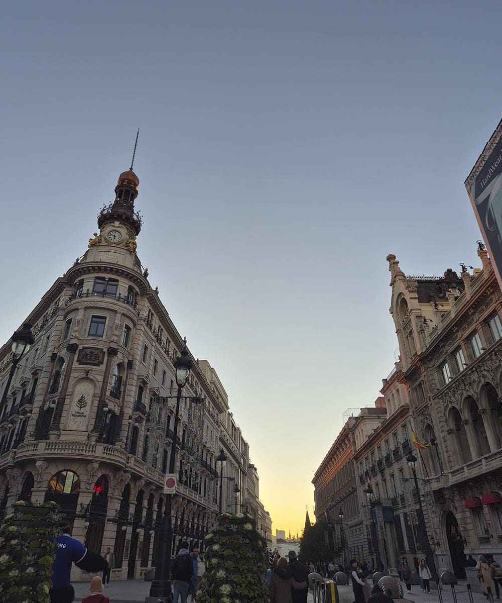 borbones madrid